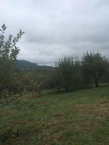 10713012_10152754229570928_973778257384745527_n