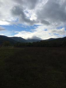 995634_10204175982855667_4447796572501908011_n